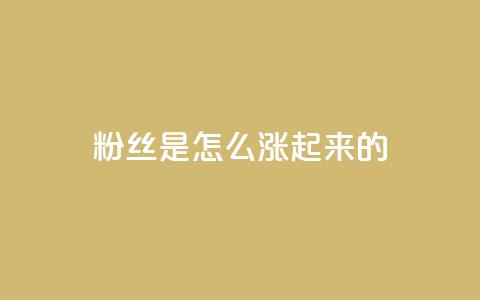 粉丝是怎么涨起来的,qq空间点赞自助 - qq空间说说刷转发数量 qq自助平台全网最低 第1张 粉丝是怎么涨起来的,qq空间点赞自助 - qq空间说说刷转发数量 qq自助平台全网最低 第1张