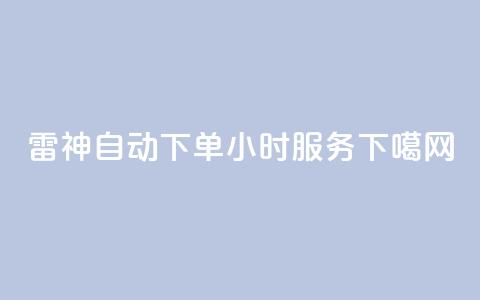 KS雷神自动下单24小时服务 第1张 KS雷神自动下单24小时服务 第1张