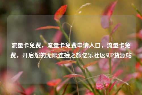 流量卡免费，流量卡免费申请入口，流量卡免费，开启您的无限连接之旅亿乐社区SUP货源站  第1张